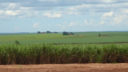 ATR SP: Preços no acumulado sobem 2,94% em dezembro