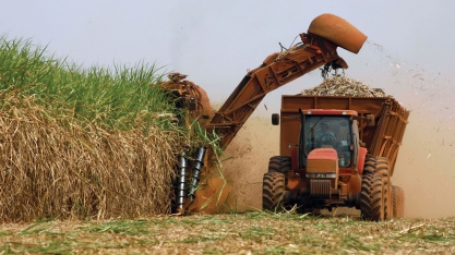 Preço do açúcar em alta favorece regiões com forte base no setor sucroalcooleiro