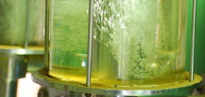 Etanol: preço do hidratado sobe na semana; anidro tem desvalorização