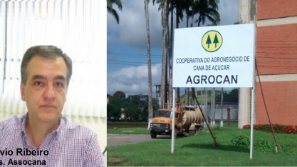 Setor canavieiro paulistano de olho em cooperativas de Pernambuco