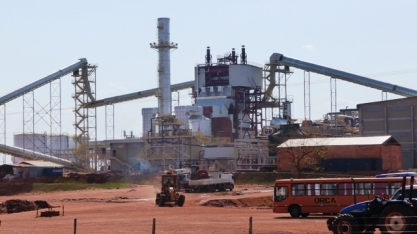 Adecoagro acredita em altas futuras para o preço internacional do açúcar