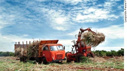 CAE aprova liberação de plantio de cana em áreas degradadas da Amazônia Legal