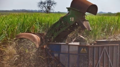 Unica defende RenovaBio e diz que programa vai destravar investimentos