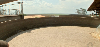 A produção de etanol continua em alta no MT