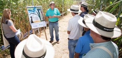 A participação do produtor de cana no setor sucroenergético