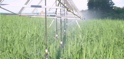 Agência Nacional de Águas mapeia área irrigada de cana-de-açúcar no Brasil