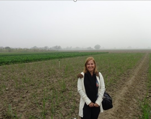 Conhecendo os diferenciais da cultura canavieira na Índia e a fantástica cultura indiana