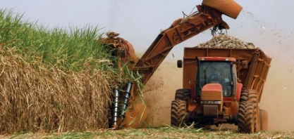 Chance ao biocombustível