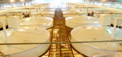 Resolução n°26/2012: usinas devem regularizar situação junto à ANP