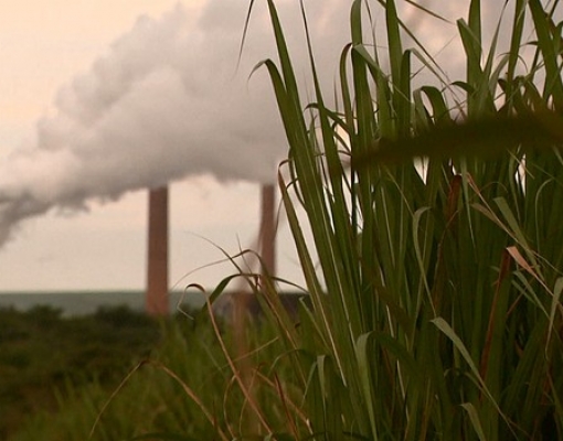 Cenário negativo deve atingir as usinas de três regiões do país (Foto: Rodrigo Sargaço/EPTV)