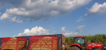 SP terá dispersão industrial e mais cana, diz Seade