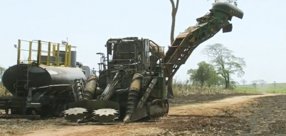 Incêndio destrói plantação de cana e área de preservação ambiental em Castilho