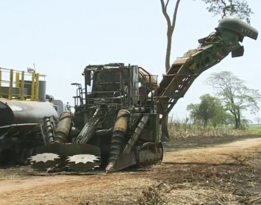 Colheitadeira pode ter sido a causa do incêndio; bombeiros investigam (Foto: Reprodução/TV TEM)