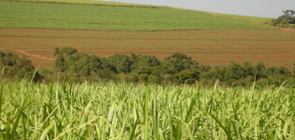 Consecana PR: ATR projetado tem valorização de 0,74% em dezembro