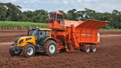 Produtores independentes de cana-de-açúcar paralisam reforma dos canaviais com mudança no cenário de preços para o açúcar