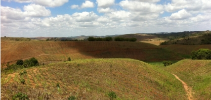 Cinco medidas para reerguer a cultura da cana mesmo com a seca no NE