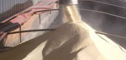 Atuação da Wilmar em Bolsa gera discussão e preocupa mercado de açúcar