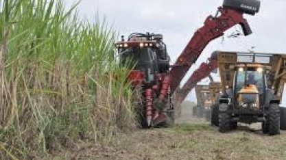 Grupo de trabalho tem 3 meses para apresentar propostas ao RenovaBio