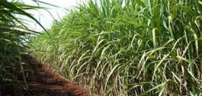 ATR SP: valor acumulado cai 4,03% no mês de julho