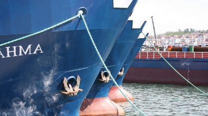 Valor exportado de açúcar de cana pela região registra alta de 36,8%