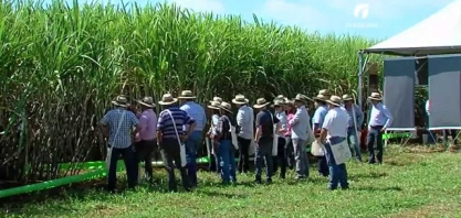 ORPLANA divulgará em primeira-mão, no AgroEncontro 2017, Programa de Capacitação para mais de três mil produtores de cana