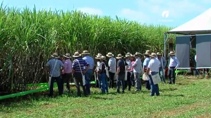 ORPLANA divulgará em primeira-mão, no AgroEncontro 2017, Programa de Capacitação para mais de três mil produtores de cana