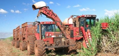 Setor sucroalcooleiro: preços médios reais da safra 2016/17 superam os da anterior