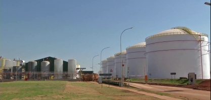 Usina de etanol de milho deve aquecer a demanda pelo cereal em MT