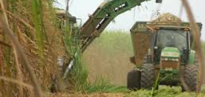 Protocolo evitou emissão de quase 10 mi de t de CO2 equivalente em 10 anos