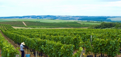 A Chandon produz borbulhas no Brasil