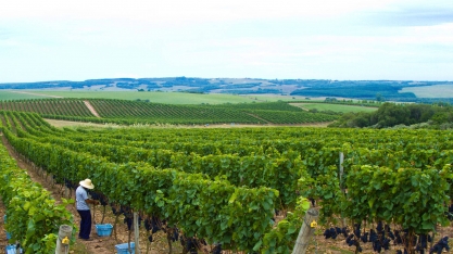 A Chandon produz borbulhas no Brasil