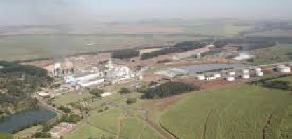 Setor sucroenergético prospera e WhatsCall recomenda compra de duas ações