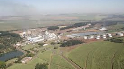 Setor sucroenergético prospera e WhatsCall recomenda compra de duas ações