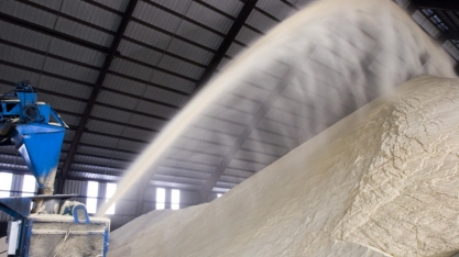 Mercado vê China mais aberta a importações de commodities agrícolas