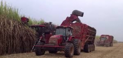 Agricultura estima em R$ 536 bilhões o valor bruto da produção