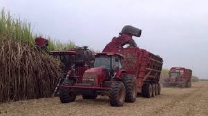 Agricultura estima em R$ 536 bilhões o valor bruto da produção