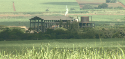 Exportações crescem 236% em Araras, SP, e ultrapassam R$ 70 milhões