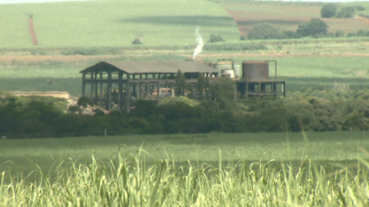 Exportações crescem 236% em Araras, SP, e ultrapassam R$ 70 milhões