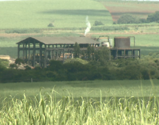 Em usina, 35% do que é produzido vai para exportação (Foto: Ronaldo Oliveira/EPTV)