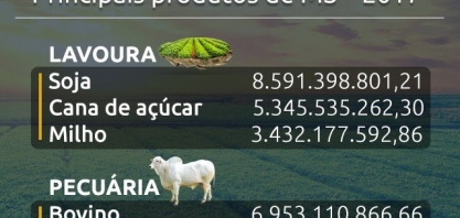 Milho perde R$ 406 milhões em valor e perde posição para cana