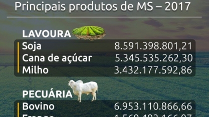 Milho perde R$ 406 milhões em valor e perde posição para cana