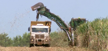 Setor sucroenergético coloca 8 cidades da região de Ribeirão Preto entre as que mais geram empregos no país