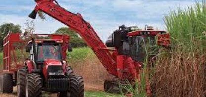 Cana-de-açúcar faz economia sair da crise