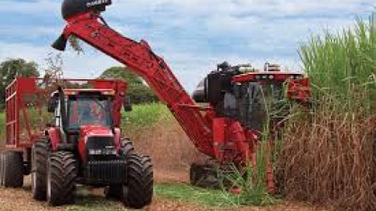 Cana-de-açúcar faz economia sair da crise