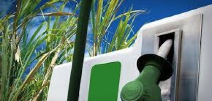 Etanol: Volume negociado diminui 31,4% em sete dias