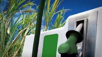 Etanol: Volume negociado diminui 31,4% em sete dias
