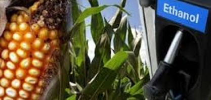 Camex deve decidir neste mês sobre taxa do etanol importado