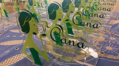 O VI Encontro Cana Substantivo Feminino acontece hoje