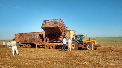 Projeto Brazil Sugarcane gera USD 300 mi em expectativas de negócios