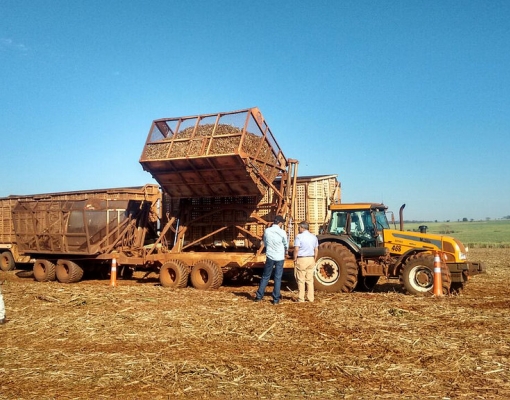 Os visitantes internacionais conheceram as instalações da Usina Viralcool